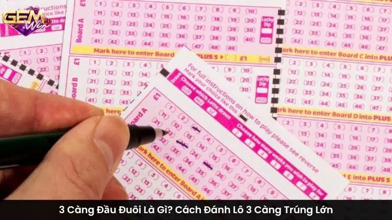 3 Càng Đầu Đuôi Là Gì? Cách Đánh Lô 3 Càng Trúng Lớn