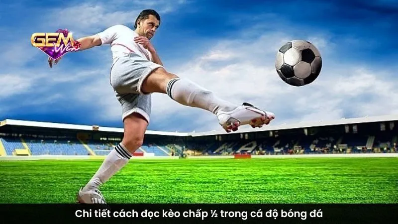 Chi tiết cách đọc kèo chấp ½ trong cá độ bóng đá