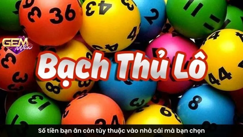 Số tiền bạn ăn còn tùy thuộc vào nhà cái mà bạn chọn