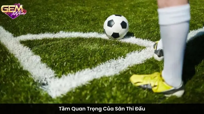 Tầm Quan Trọng Của Sân Thi Đấu