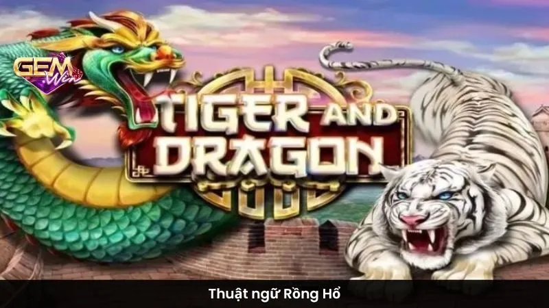 Thuật ngữ Rồng Hổ