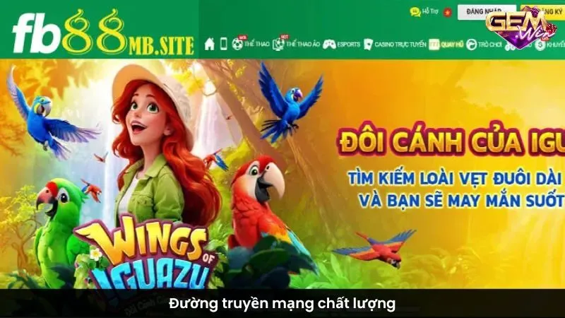 Đường truyền mạng chất lượng